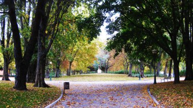 Yollar sonbahar parklarına girer.