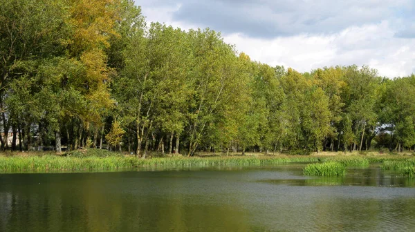 Rivieren Met Reflecties Herfst — Stockfoto