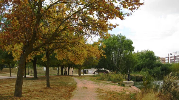 Florestas Paisagens Outono — Fotografia de Stock