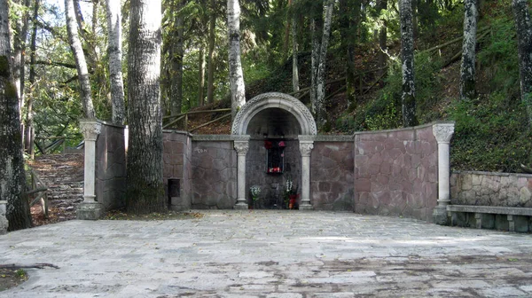 Uralte Brunnen Einem Wald — Stockfoto