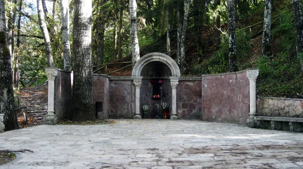 Uralte Brunnen Einem Wald — Stockfoto