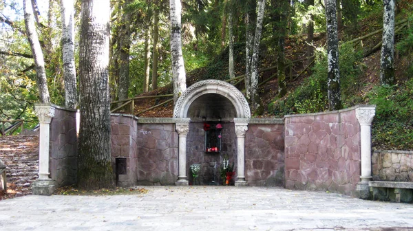 Uralte Brunnen Einem Wald — Stockfoto