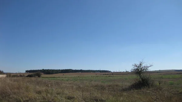 Landwirtschaftliche Felder Herbst — Stockfoto