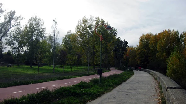 Caminatas Otoño Largo Del Río —  Fotos de Stock