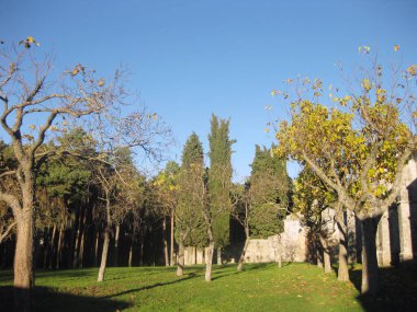 Sonbaharda ormanlar ve bahçeler.