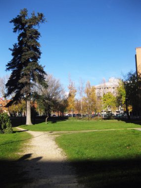 Sonbaharda ormanlar ve bahçeler.