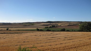 Manzaralar ve sonbaharda ekin tarlaları.
