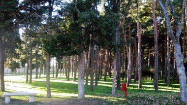 Sonbaharda ormanlar ve bahçeler.