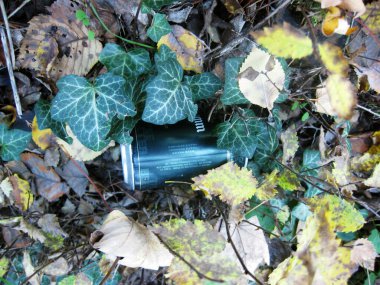 Sonbahar kuru yaprakları arka plan.