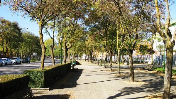 Wandelingen Langs Rivier Herfst — Stockfoto