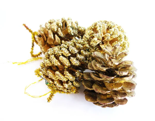 Golden Cones Pinho Natal Fundo Branco — Fotografia de Stock