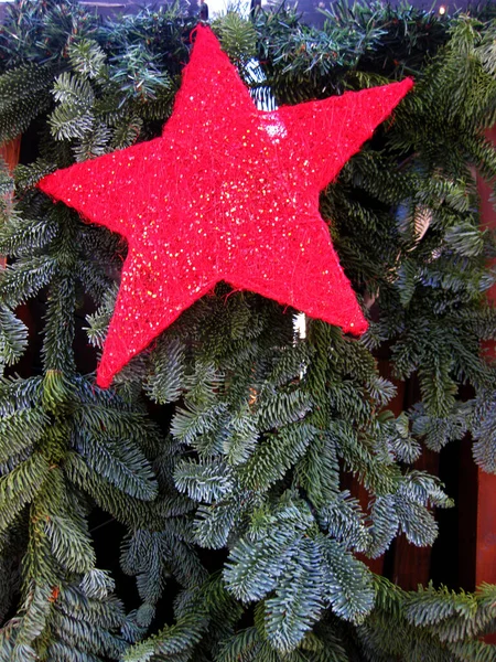 Czerwone Gwiazdki Sosnowym Drzewie — Zdjęcie stockowe