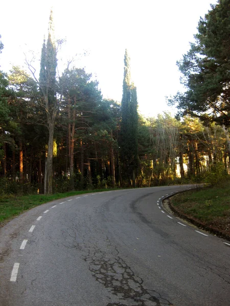 Foreste Giardini Autunno — Foto Stock