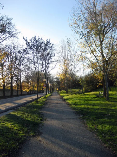 Promenades Automne Travers Une Forêt — Photo