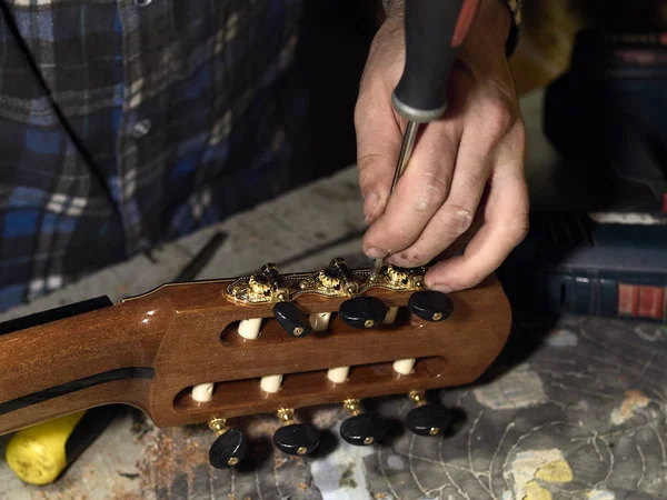 Guitarras Luthiers instala cabezales de máquina . —  Fotos de Stock