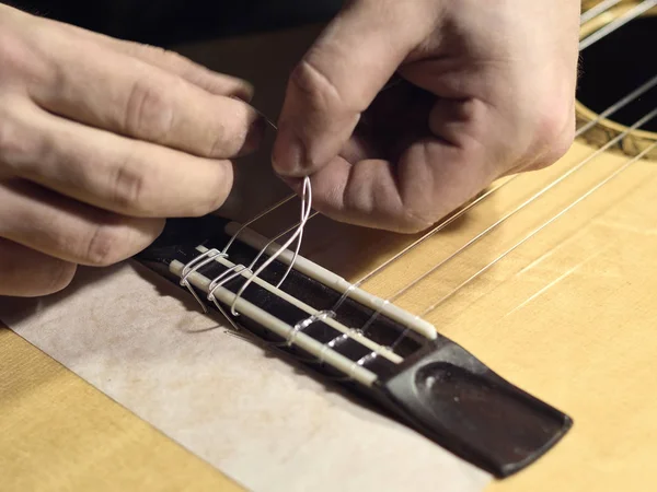 Gitar luthiers bir gitar dizeleri setleri.