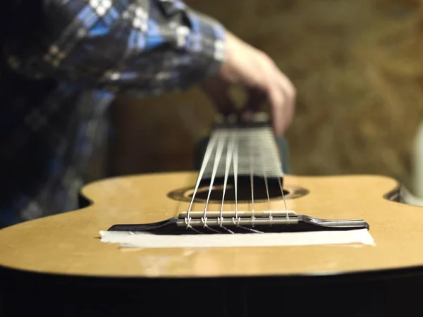 Gitar luthiers bir gitar dizeleri setleri.