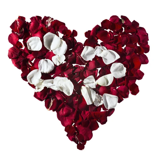 Bloemblaadjes in een hart vorm. De nummers voor de kalender — Stockfoto