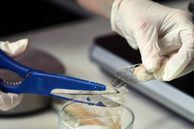 Siyah tasarımcı pasta adım adım hazırlanması