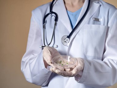 Bir kadın doktor elinde bir petri kabı tutar.