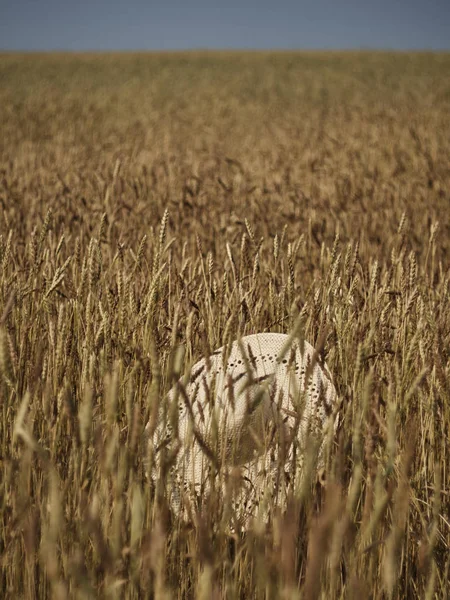 Um chapéu de palha está em um campo de trigo . — Fotografia de Stock