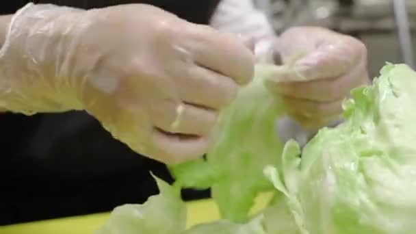 Łzawienie sałaty na małe kawałki podczas przygotowywania sałatka grecka. — Wideo stockowe