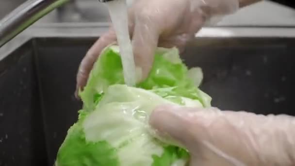 The cook washes the salad. — Stock Video