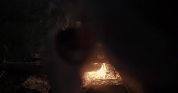 한 젊은 여성이 모닥불 앞에서 밤에 앉아 차를 마시고 모닥불을 바라봅니다.. — 비디오