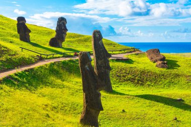 Moai heykeller sessizce onlar yapıldığı bir tepenin bir taş ocağı yakınındaki bakıyorum.