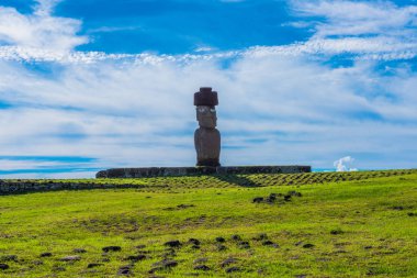 Gözleri geniş açık denizin kenarında bir sunak üzerinde bir Moai heykeli.