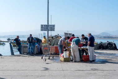 Coquimbo, Chile - 7 Nisan 2018. Erkekler temiz ve rıhtımın açık bir pazar için sabah balık hazırlamak. Yalnızca içerik kullanımı.