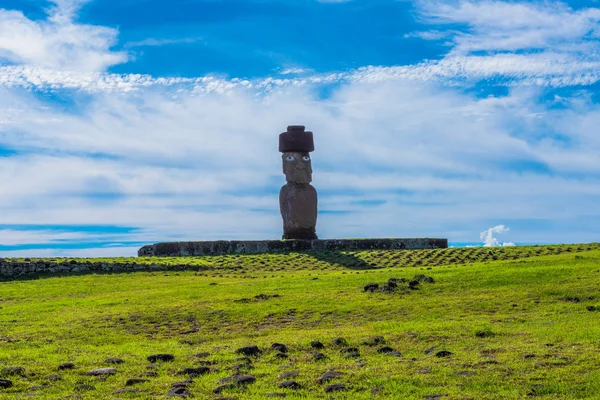 Gözleri geniş açık denizin kenarında bir sunak üzerinde bir Moai heykeli.