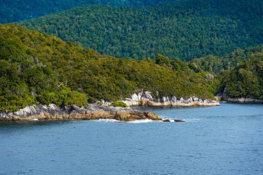 Ada sahilleri boyunca Dusky ses görünümünü