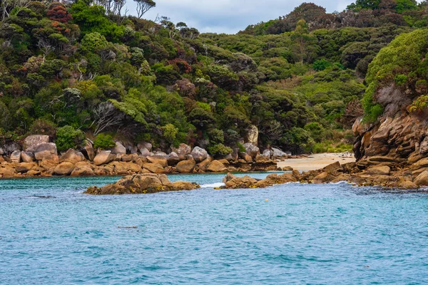 Denizden çekilen fotoğraf renkli ağaçlar Stewart Island, Yeni Zelanda gösterir