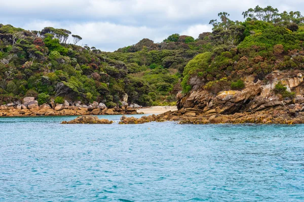 Küçük bir plaj orman boyunca kayalık sahil Stewart Island, Yeni Zelanda dışarı çıkar.