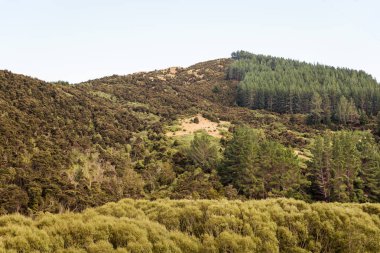 Dağlar, tepeler ve ağaçlar ile sıcak bir Yeni Zelanda manzara.