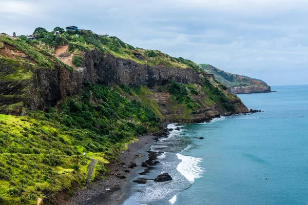 Yeni Zelanda Muriwai Plajı'nda siyah kum ve yemyeşil yaprakları karşı Tasman Denizi aqua suları Tur.