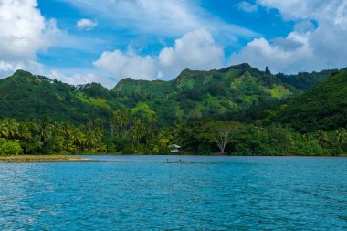 Fransız Polinezya bol güzel yeşillik Moorea Adası görüntüler.