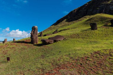 Hill Paskalya Adası içe dönük Moai heykelleri ile; arka planda tepe tırmanma turist.