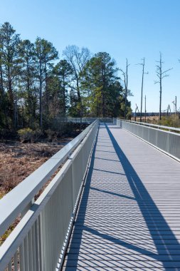 Swampland üzerinde ve ormanın bir parkın içinden bir yol uzun bir köprü keser.
