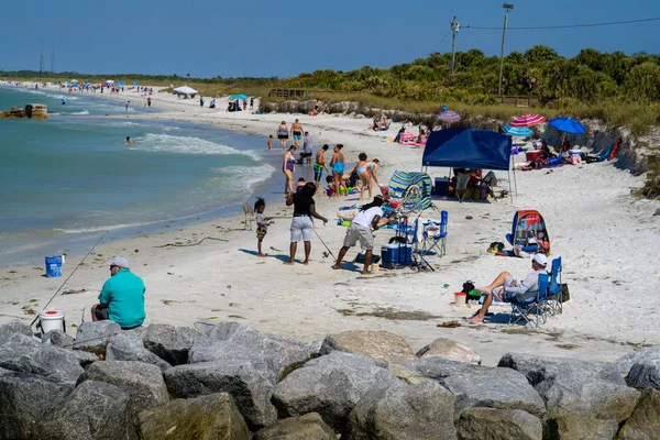 Fort Soto Park Florida Februar 2019 Foto Von Einem Sehr — Stockfoto