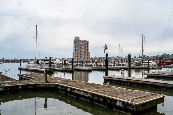 Inner Harbor Marina — Stockfoto