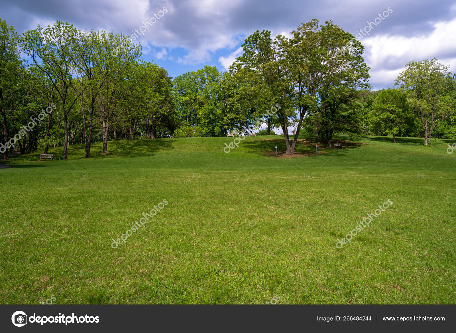 Trees In A Botanical Garden Stock Photo C Joebenning 266484244