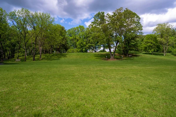 Träd i en botanisk trädgård — Stockfoto