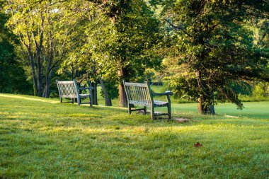 Park Bankları Bir Yamaç Bakan
