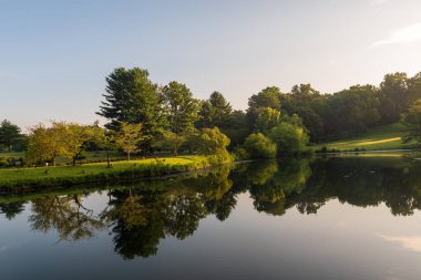 Yansıtıcı Bir Gölet