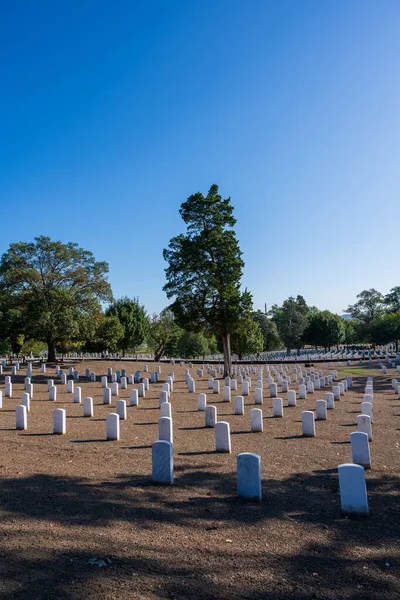 Foto de Headstones en el Cementerio Nacional de Arlington — Foto de Stock