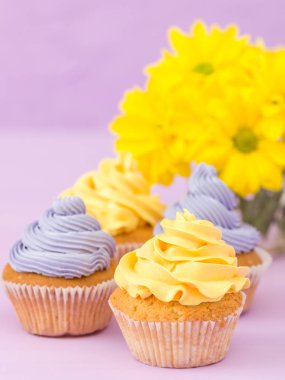 Cupcakes sarı ve mor krem ve Kasımpatı Menekşe pastel zemin üzerine süslenmiş. Boşaltmak alan. Tebrik için kullanılabilir anneler gün ve Sevgililer kartı. Minimalizm kavramı.