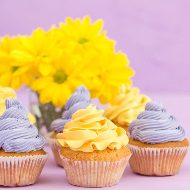 Cupcakes sarı ve mor krem ve Kasımpatı Menekşe pastel zemin üzerine süslenmiş. Boşaltmak alan. Tebrik için kullanılabilir anneler gün ve Sevgililer kartı. Minimalizm kavramı.