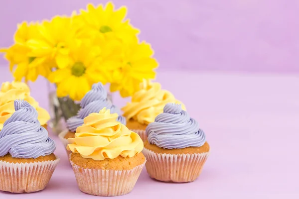 Cupcakes decorated with yellow and violet cream and chrysanthemums on violet pastel background. Copyspace area. Can be used for greeting, mothers days and valentines card. Minimalism concept.